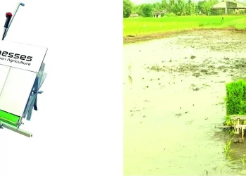 DIMO Unveils Pela Batta