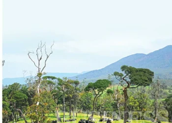 Liquid Milk: On The Path To Self-Sufficiency