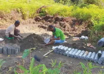 HNB Reaffirms Commitment to Sustainable Development with Project LIFE