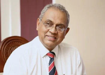 Ceylon Tea: A Resilient Industry