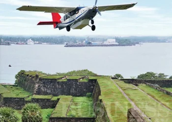 Aerial Whale Watching Tours From December