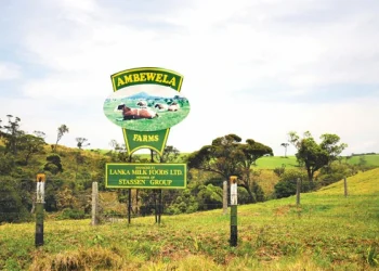 Building New Capabilities In The Dairy Industry