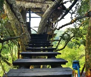 Sri Lankan Â€˜Tree Tops Jungle Lodgeâ€™ Wins Wild Asia Responsible Tourism Award 2008