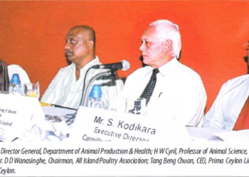 Poultry Industry Addresses Concerns on Avian Flu