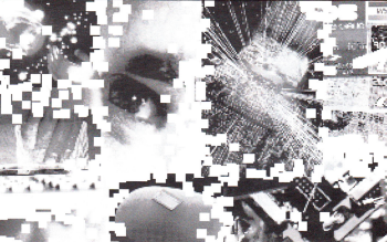 Wonderchip spawn Wondercrime