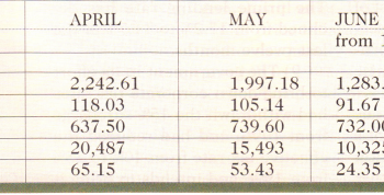 The Stock Market Review