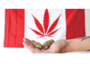 Ten Countries with The Best Weed in The World 2024 