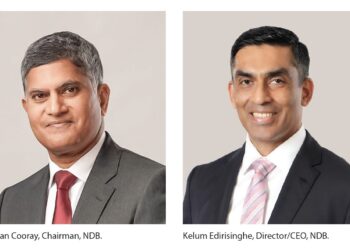 NDB posts record earnings, doubles normalised PAT